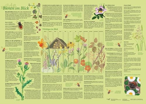 Erlebnisposter "Bienen im Blick" von druckbunt Verlag GmbH