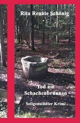 Seligenstädter Krimi / Tod am Schachenbrunnen: Seligenstädter Krimi