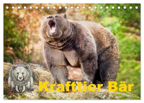 Krafttier Bär (Tischkalender 2026 DIN A5 quer), CALVENDO Monatskalender: Der Bär - Symbol für Stärke, Weisheit und innere Ruhe. Lass dich von seiner ... und finde Balance und Schutz in jedem Bild. von Calvendo