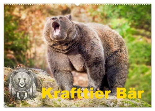 Krafttier Bär (Wandkalender 2026 DIN A2 quer), CALVENDO Monatskalender: Der Bär - Symbol für Stärke, Weisheit und innere Ruhe. Lass dich von seiner ... und finde Balance und Schutz in jedem Bild. von Calvendo