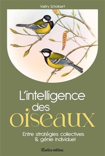 L'intelligence des oiseaux: Entre stratégies collectives & génie individuel
