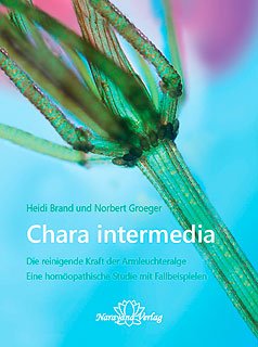 Homöopathie und Minerale: Vorwort von Stuut, Rienk