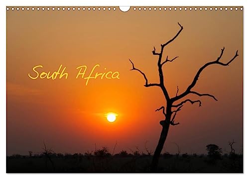 South Africa / UK-Version (Wall Calendar 2025 DIN A3 landscape), CALVENDO 12 Month Wall Calendar: The whole world in one country.