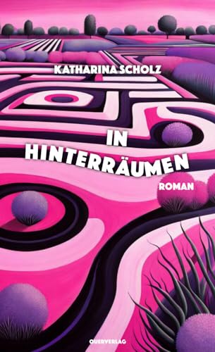 In Hinterräumen: Roman von Querverlag