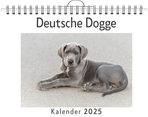 Deutsche Dogge - (Wandkalender 2025, Kalender DIN A4 quer, Monatskalender im Querformat mit Kalendarium, das perfekte Geschenk) von FlipFlop