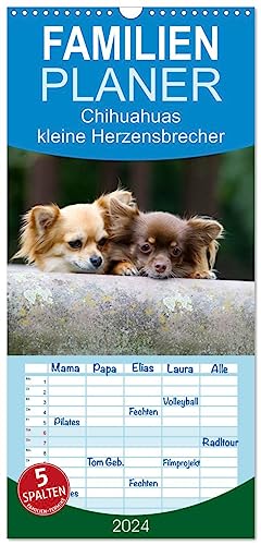 Familienplaner 2024 - Chihuahuas - kleine Herzensbrecher mit 5 Spalten (Wandkalender, 21 cm x 45 cm) CALVENDO