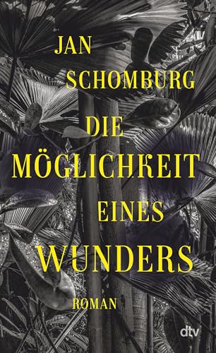Die Möglichkeit eines Wunders: Roman | »Mehr als ein Roman: ein Trip!« Denis Scheck von dtv Verlagsgesellschaft