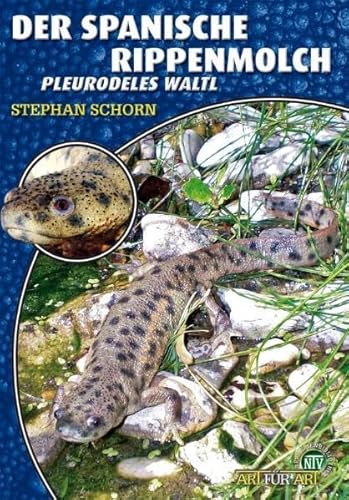 Der Spanische Rippenmolch: Pleurodeles waltl Der Spanische Rippenmolch: Pleurodeles waltl