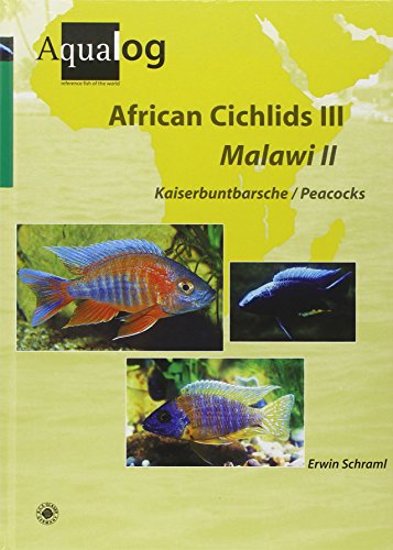 African Cichlids 03. Malawi II: Kaiserbuntbarsche / Peacocks von Aqualog Animalbook GmbH