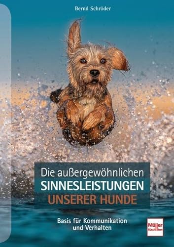 Die außergewöhnlichen Sinnesleistungen unserer Hunde: Basis für Kommunikation und Verhalten Die außergewöhnlichen Sinnesleistungen unserer Hunde: Basis für Kommunikation und Verhalten