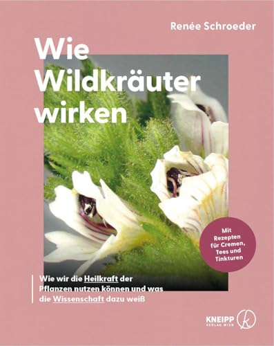 Wie Wildkräuter wirken: Wie wir die Heilkraft der Pflanzen nutzen können und was die Wissenschaft dazu weiß