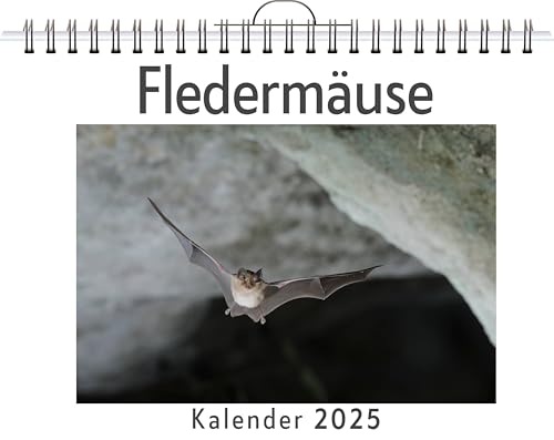 Fledermäuse - (Wandkalender 2025, Kalender DIN A4 quer, Monatskalender im Querformat mit Kalendarium, das perfekte Geschenk) von FlipFlop