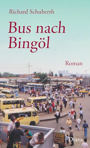 Bus nach Bingöl: Roman