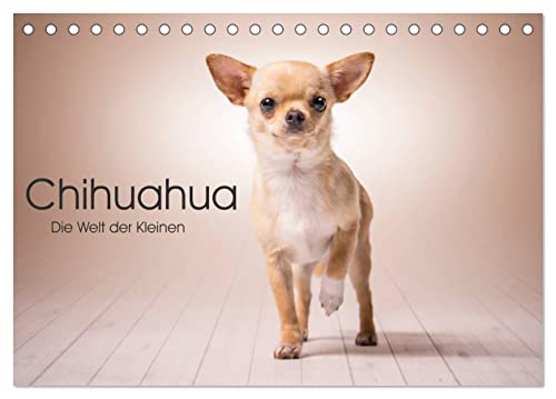Chihuahua - Die Welt der Kleinen (Tischkalender 2024 DIN A5 quer), CALVENDO Monatskalender von CALVENDO