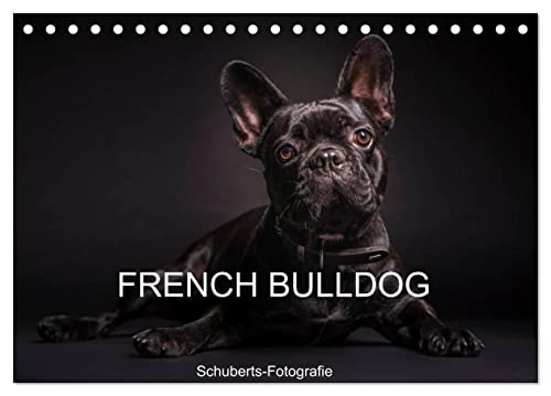 French Bulldog (Tischkalender 2024 DIN A5 quer), CALVENDO Monatskalender von CALVENDO