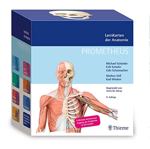 PROMETHEUS LernKarten der Anatomie von Thieme