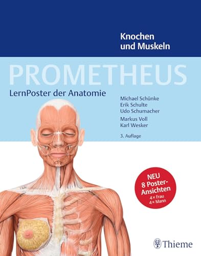 PROMETHEUS LernPoster der Anatomie, Knochen und Muskeln von Georg Thieme Verlag