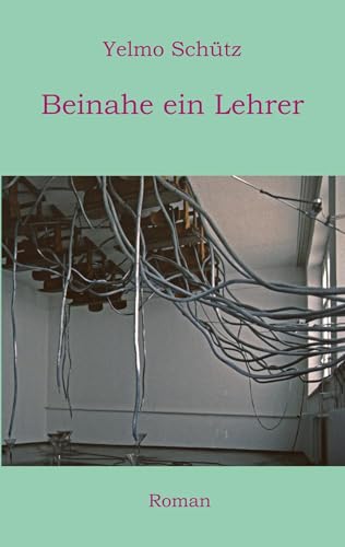 Beinahe ein Lehrer: Roman