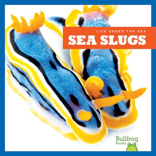 Sea Slugs (Life Under the Sea)