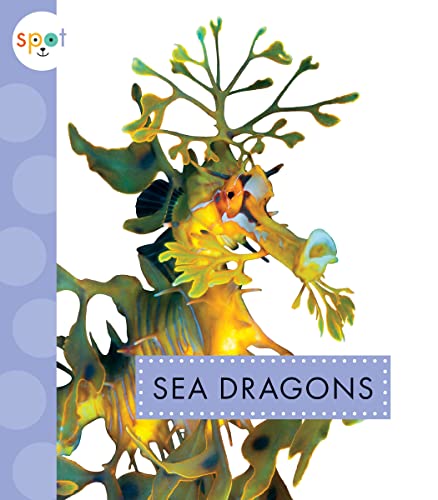 Sea Dragons (Spot Ocean Animals) von Amicus Ink