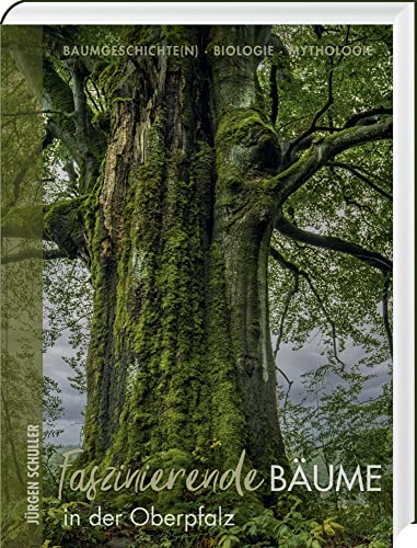 Faszinierende Bäume in der Oberpfalz: Baumgeschichte(n)-Biologie-Mythologie von Buch + Kunstvlg.Oberpfalz