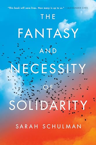 The Fantasy and Necessity of Solidarity von Thesis