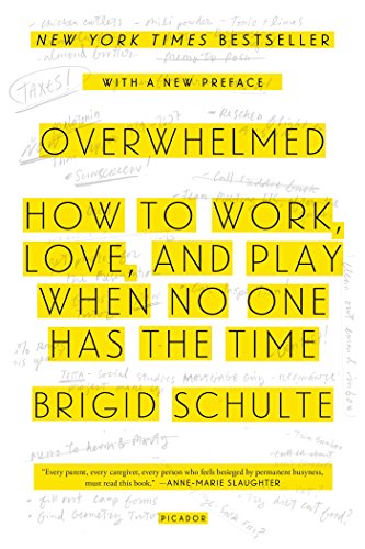 Overwhelmed: How to Work, Love, and Play When No One Has the Time von Picador