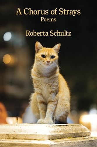 A Chorus of Strays A Chorus of Strays von Kelsay Books
