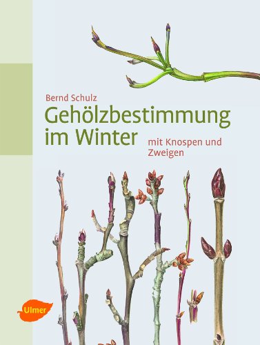 Gehölzbestimmung im Winter