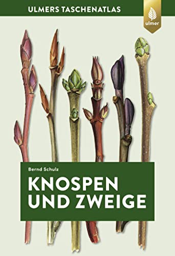 Knospen und Zweige: 270 Gehölze im Winter bestimmen (Taschenatlanten)