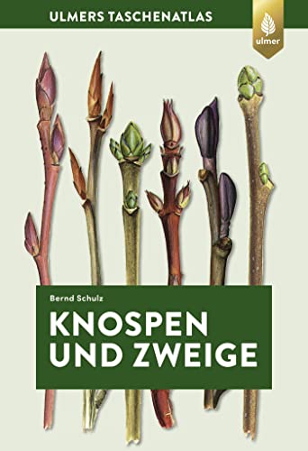 Knospen und Zweige: 270 Gehölze im Winter bestimmen (Taschenatlanten) von Ulmer Eugen Verlag