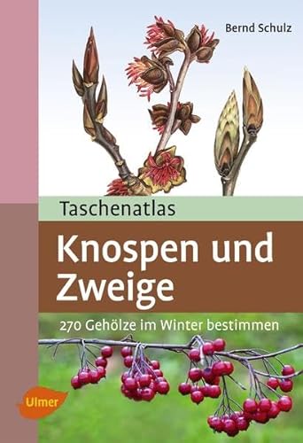 Taschenatlas Knospen und Zweige: 270 Gehölze im Winter bestimmen (Taschenatlanten)