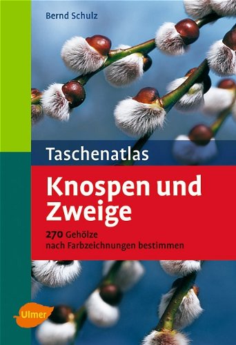 Taschenatlas Knospen und Zweige: 270 Gehölze nach Farbzeichnungen bestimmen