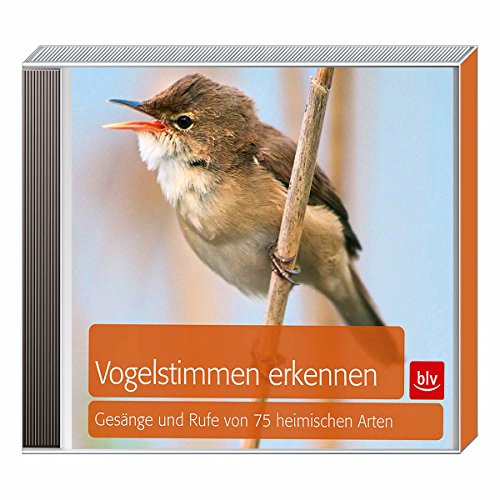 Vogelstimmen erkennen / CD: Gesänge und Rufe von 75 heimischen Arten
