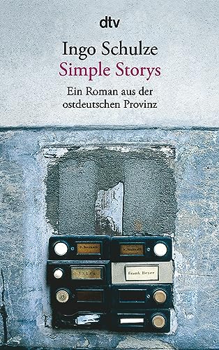 Simple Storys: Ein Roman aus der ostdeutschen Provinz (DTV)