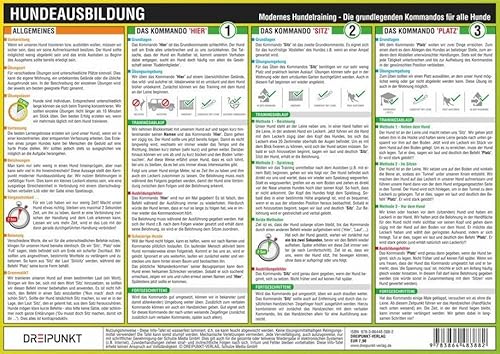 Hundeausbildung: Modernes Hundetraining - Die grundlegenden Kommandos für alle Hunde von Dreipunkt Verlag