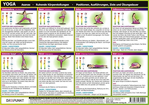 Yoga: Asanas - Ruhende Körperstellungen - Positionen, Ausführungen, Ziele und Übungsdauer von Dreipunkt Verlag