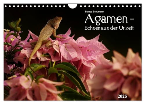 Agamen - Echsen aus der Urzeit (Wandkalender 2025 DIN A4 quer), CALVENDO Monatskalender von CALVENDO
