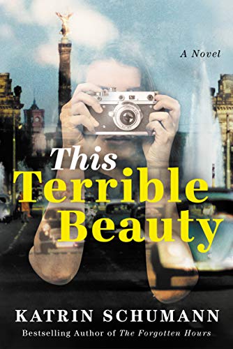This Terrible Beauty: A Novel von Lake Union Publishing