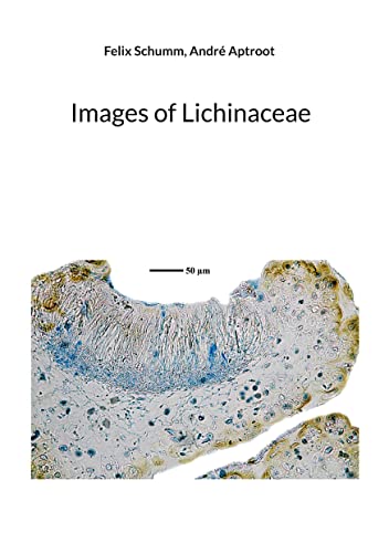 Images of Lichinaceae: DE von BoD – Books on Demand