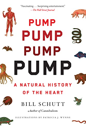 Pump: A Natural History of the Heart von Algonquin Books