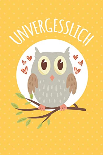 Unvergesslich: Diskretes Passwort Buch mit Register zum Verwalten und Organisieren von persönlichen Internet Zugangsdaten und PINs | Mit süßer Eulen Illustration