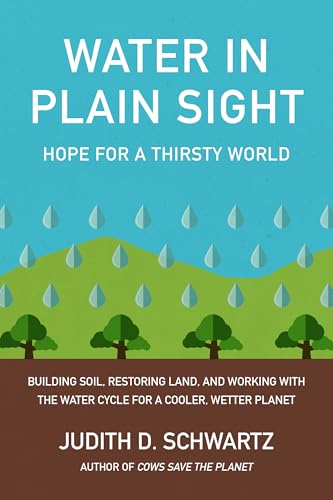 Water in Plain Sight: Hope for a Thirsty World
