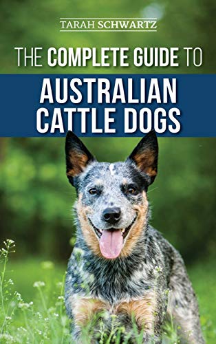 The Complete Guide to Australian Cattle Dogs: Finding, Training, Feeding, Exercising and Keeping Your ACD Active, Stimulated, and Happy von LP Media Inc.