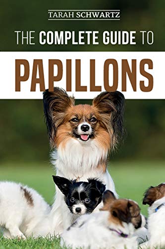The Complete Guide to Papillons: Choosing, Feeding, Training, Exercising, and Loving your new Papillon Dog von Independently Published