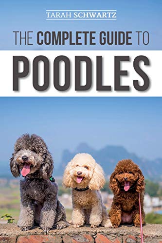 The Complete Guide to Poodles: Standard, Miniature, or Toy - Learn Everything You Need to Know to Successfully Raise Your Poodle From Puppy to Old Age von Independently Published