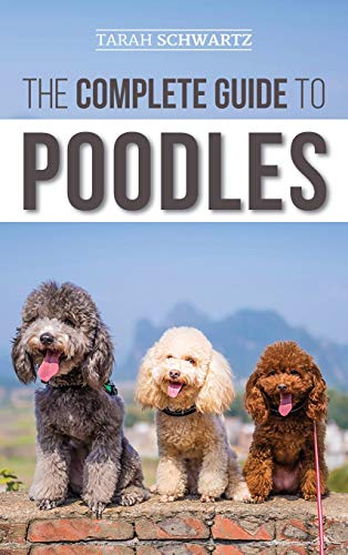 The Complete Guide to Poodles: Standard, Miniature, or Toy - Learn Everything You Need to Know to Successfully Raise Your Poodle From Puppy to Old Age von LP Media Inc.