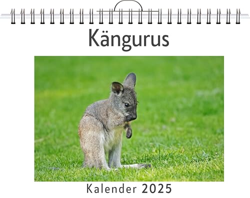 Kängurus - (Wandkalender 2025, Kalender DIN A4 quer, Monatskalender im Querformat mit Kalendarium, das perfekte Geschenk) von FlipFlop