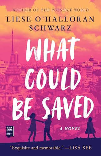 What Could Be Saved: A Novel