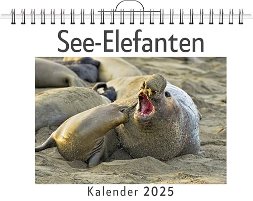 See-Elefanten - (Wandkalender 2025, Kalender DIN A4 quer, Monatskalender im Querformat mit Kalendarium, das perfekte Geschenk) von FlipFlop